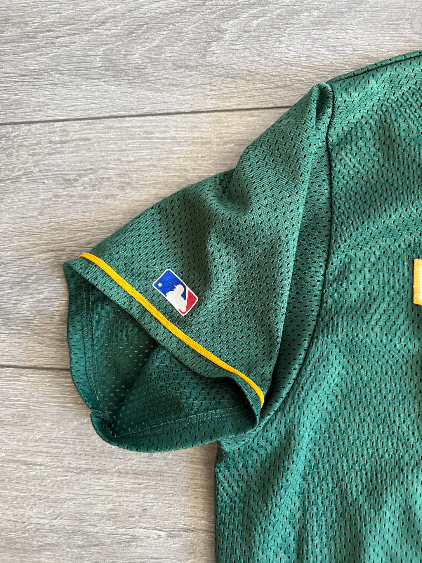 Vintage Majestic Wolfdogs Minor League Baseball Jersey- XL