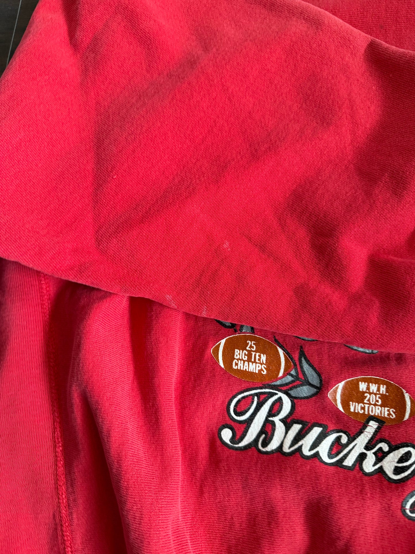 Vintage Champion Reverse Weave Ohio State Buckeyes 100 Years Crewneck Sweatshirt- M