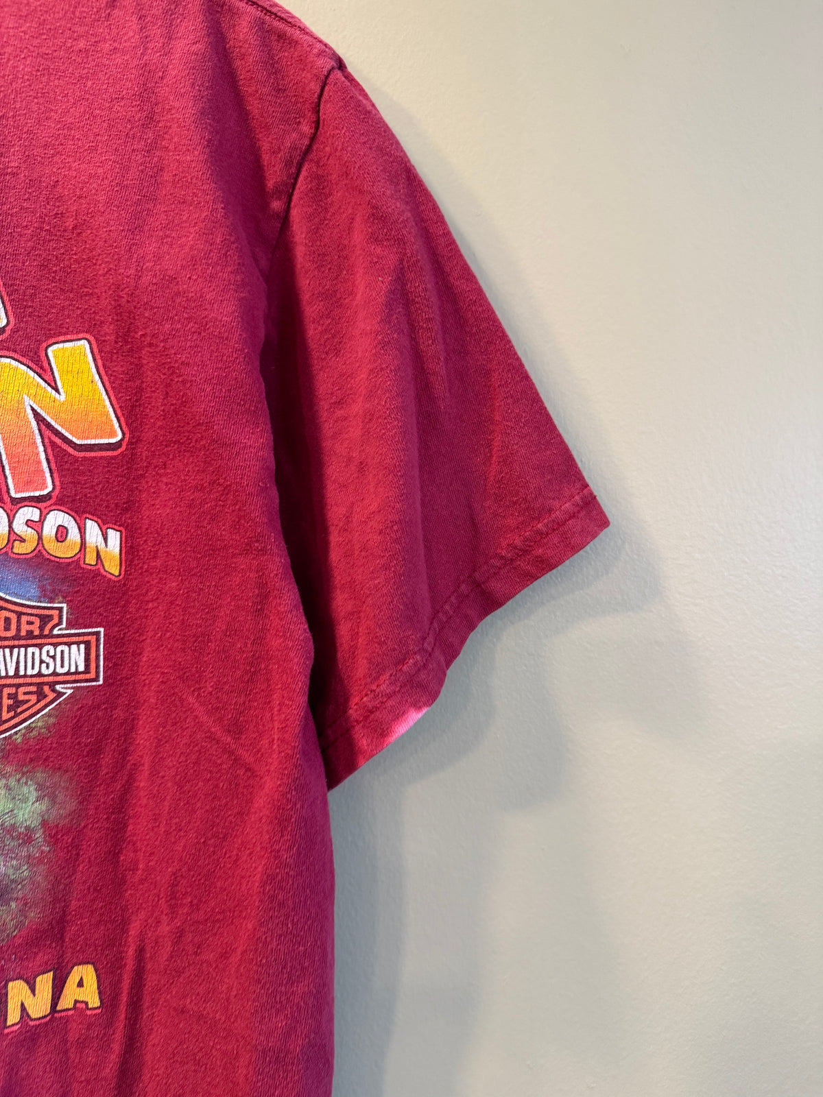 Vintage Harley Davidson Grand Canyon Red Sun Faded T-Shirt- M