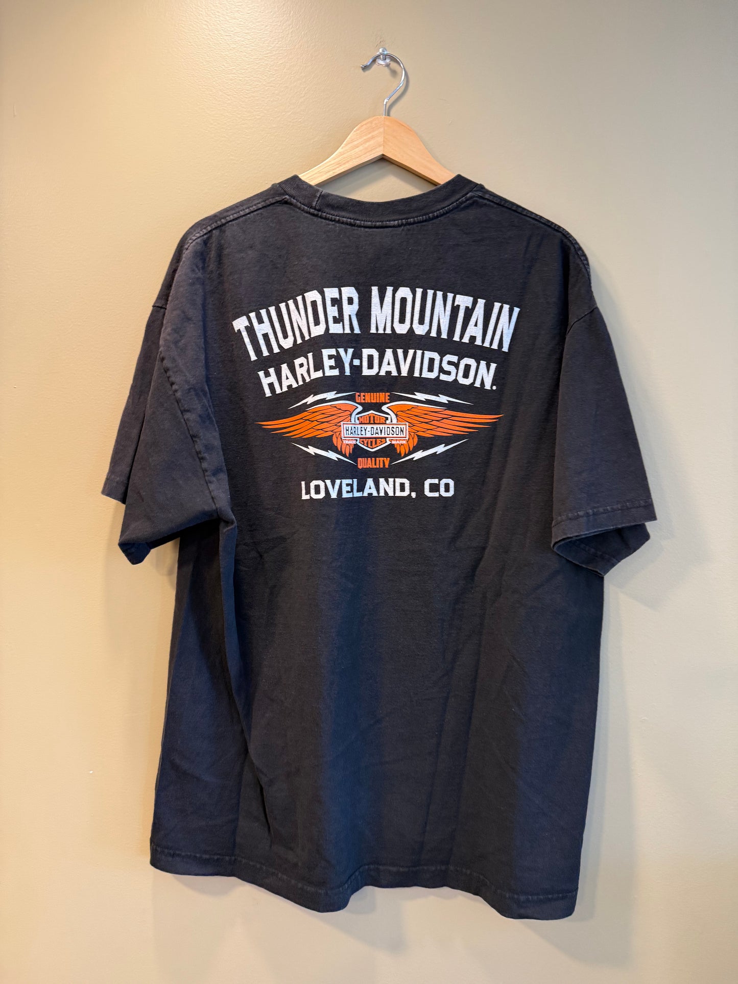 Vintage Harley Davidson Thunder Mountain T-Shirt- L