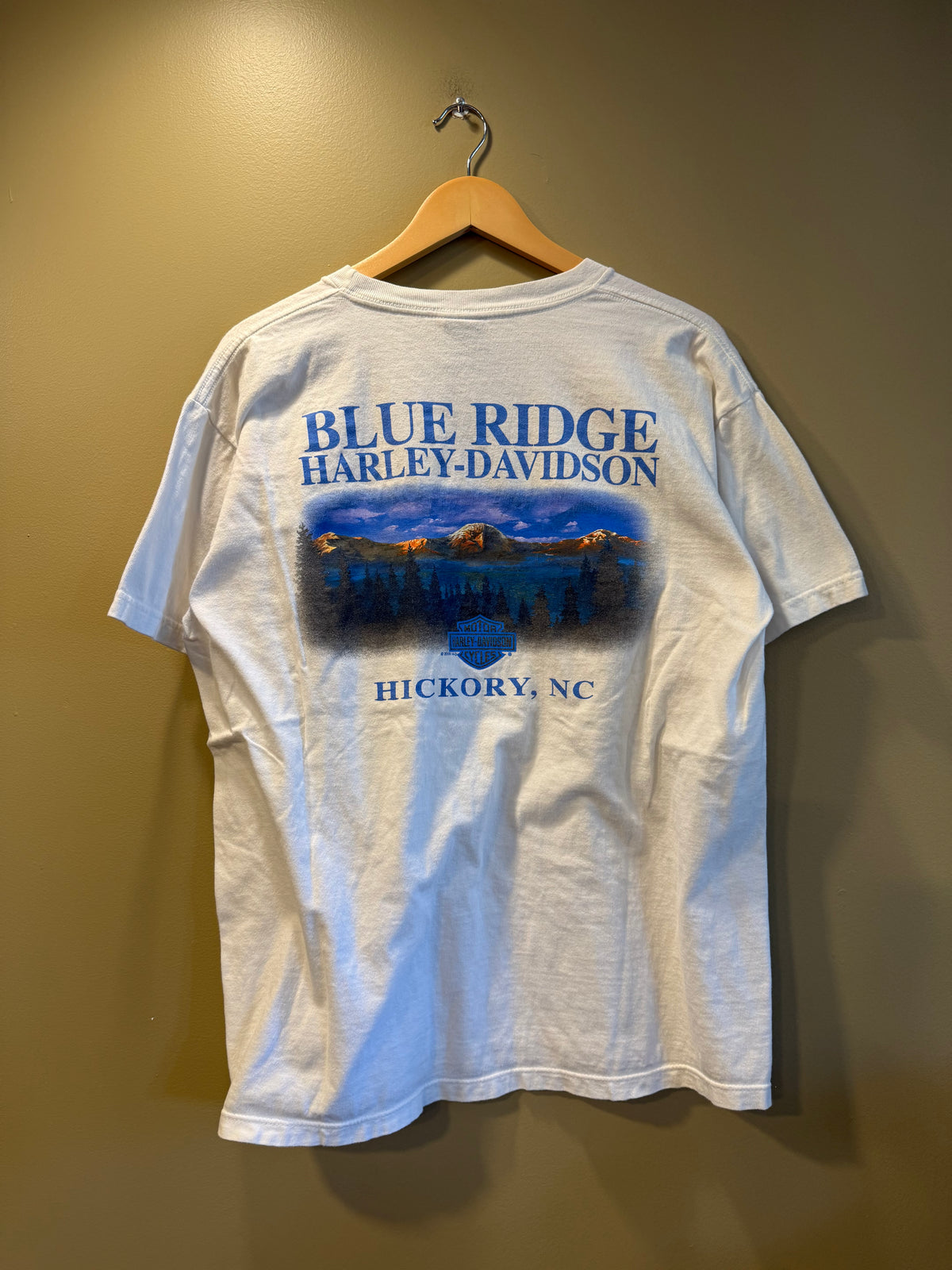 Vintage Harley Davidson Blue Ridge Mountains T-Shirt- L
