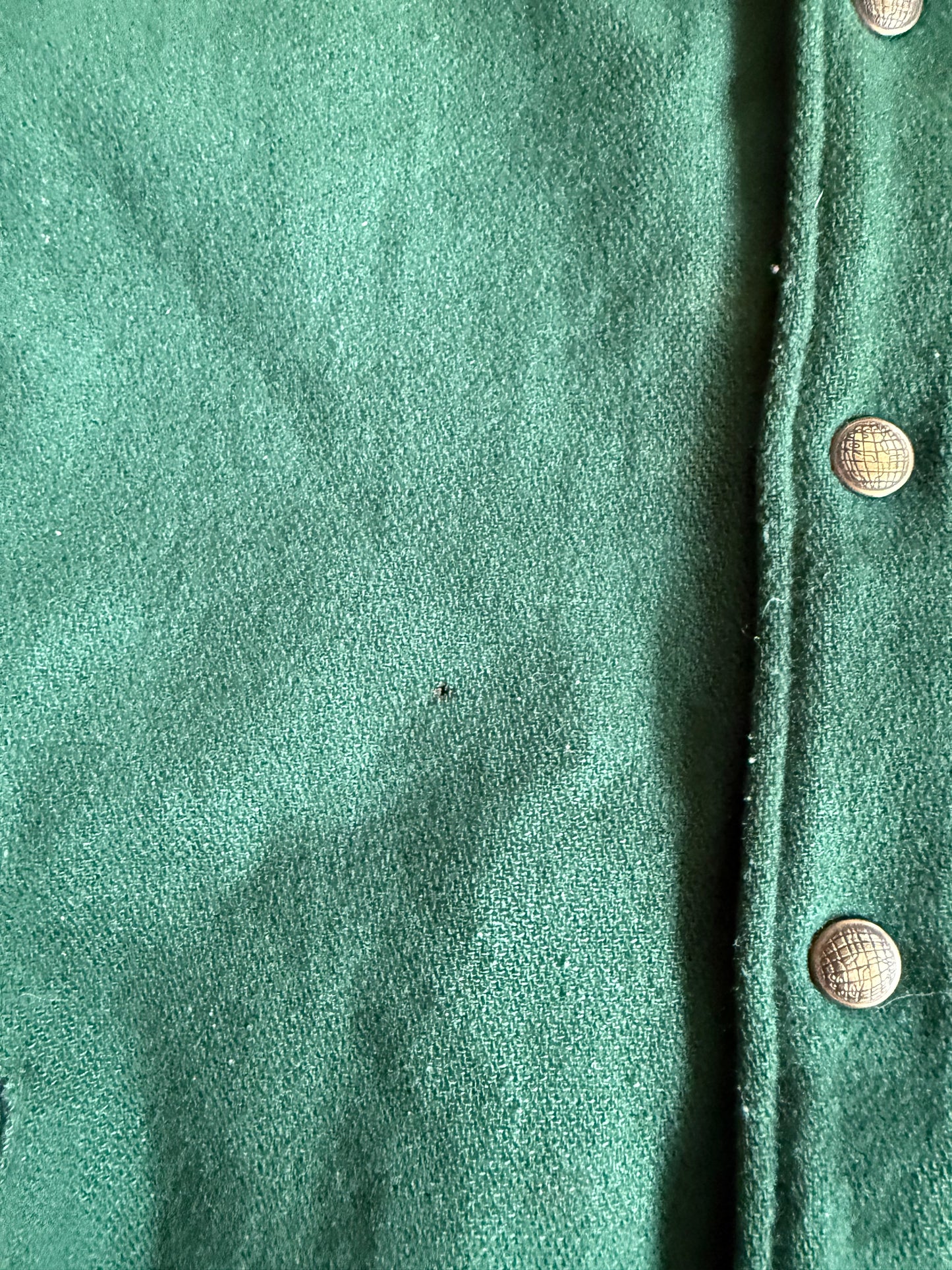Vintage Green Bay Packers NFL Carl Banks Leather & Wool Varsity Jacket- L