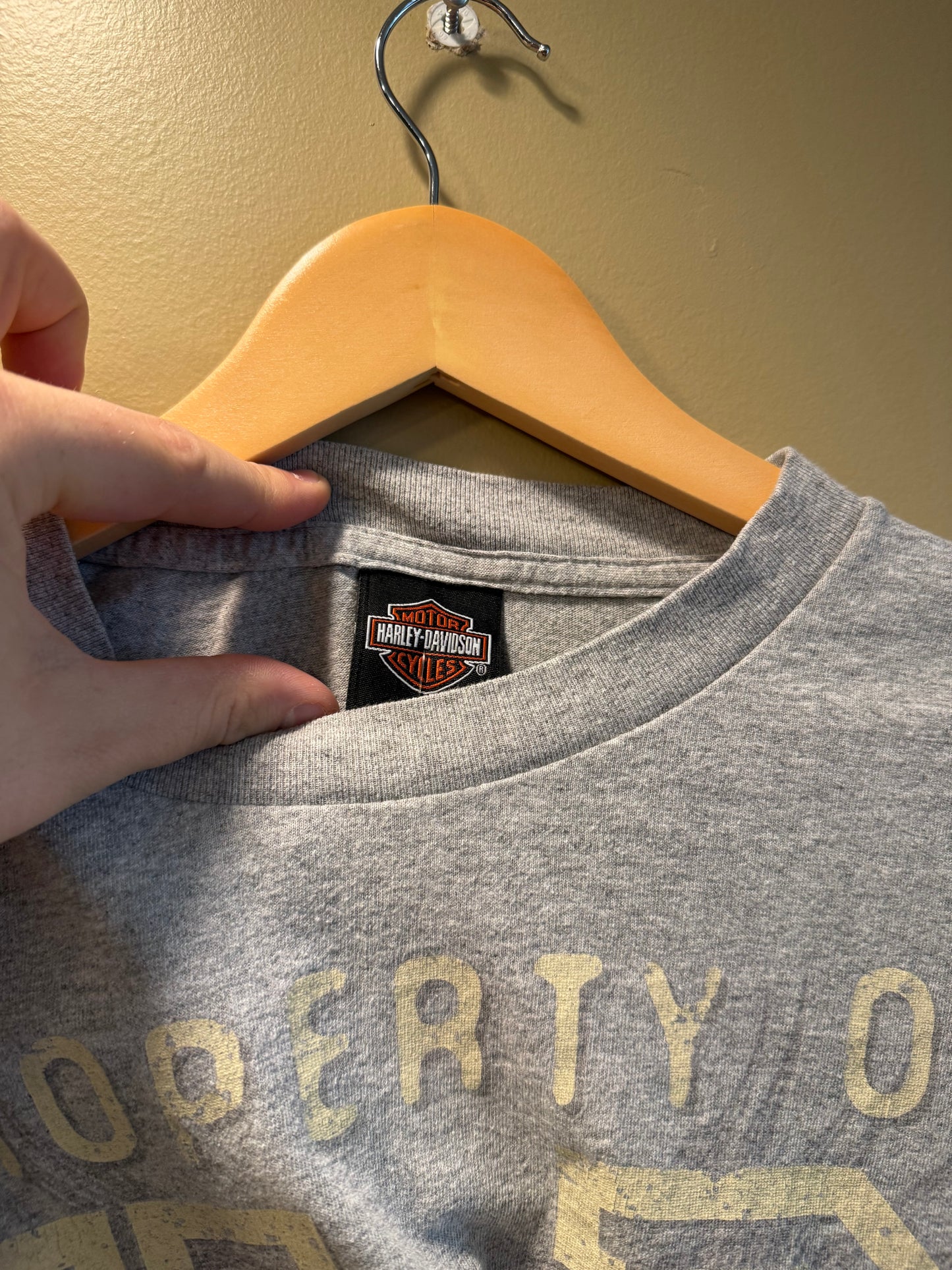 Vintage Harley Davidson Gray T-Shirt- XL