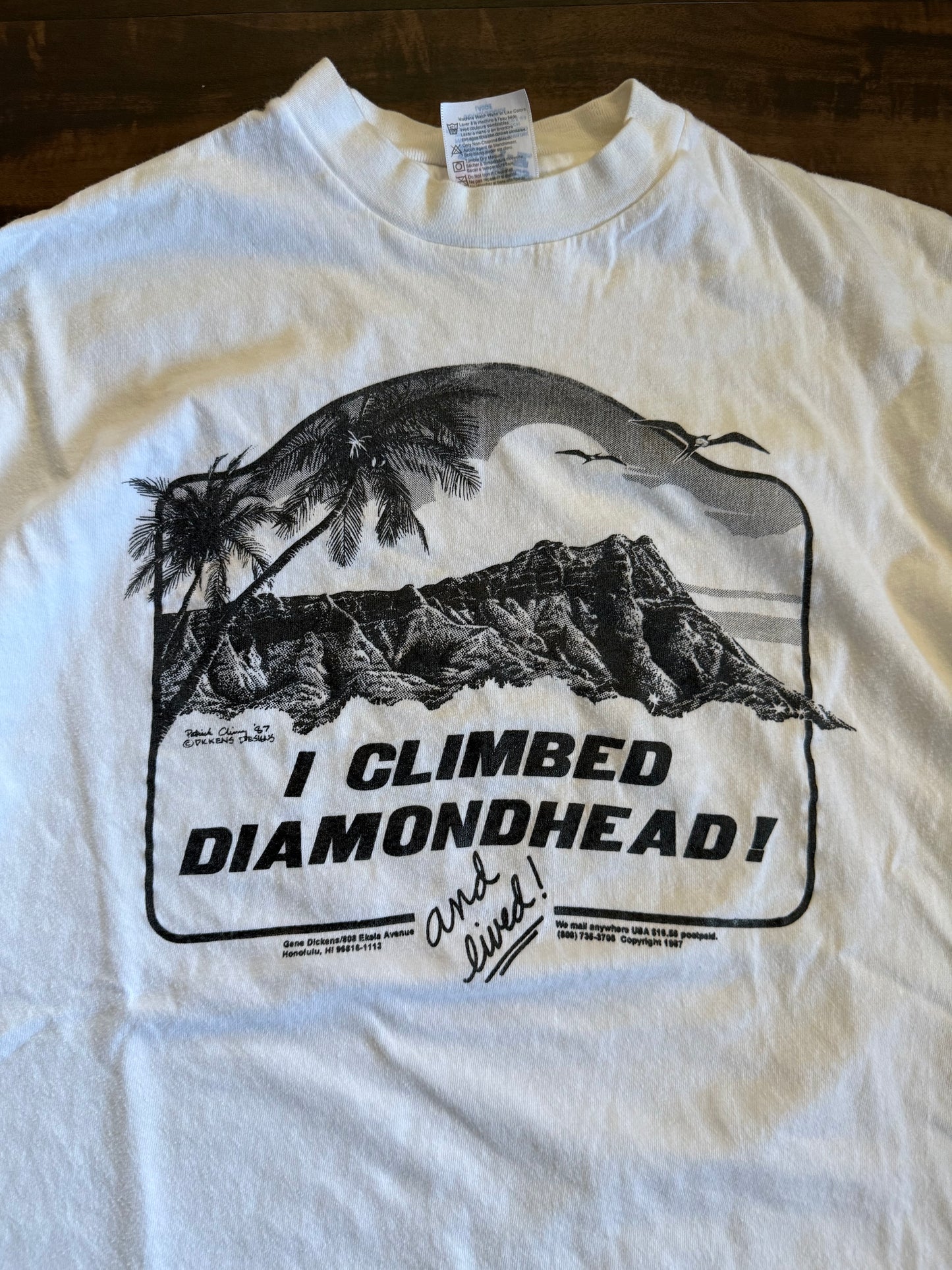 Vintage I Climbed Diamondhead Honolulu Hawaii T-Shirt- M