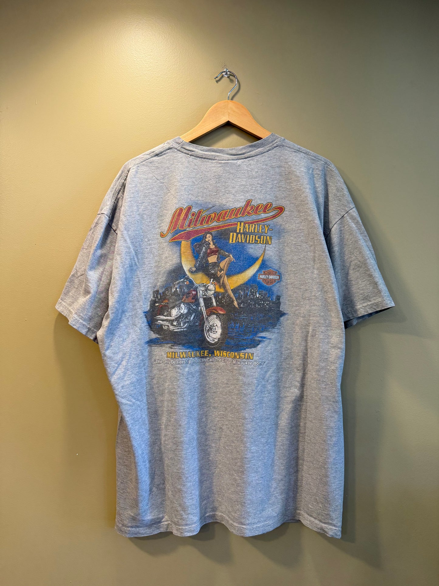 Vintage Y2K Harley Davidson Spider Web Gray T-Shirt- XL/XXL