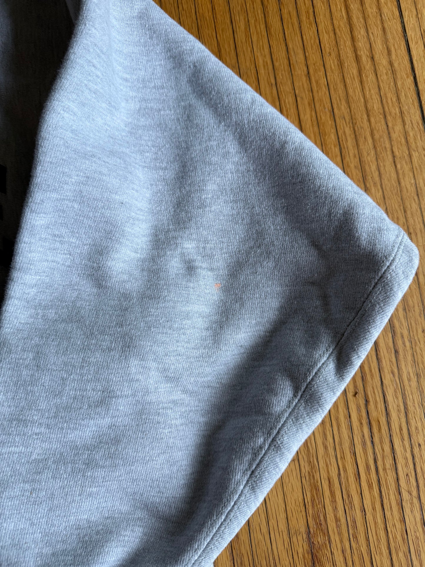 Vintage Baldwin Wallace University Champion Reverse Weave Sweatshirt- L