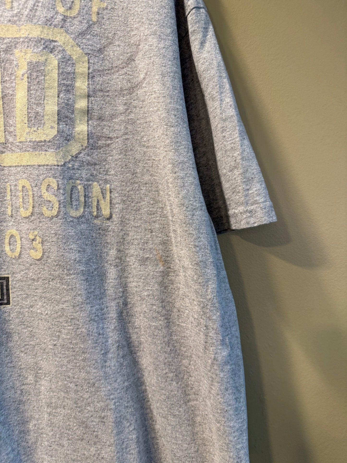 Vintage Harley Davidson Gray T-Shirt- XL