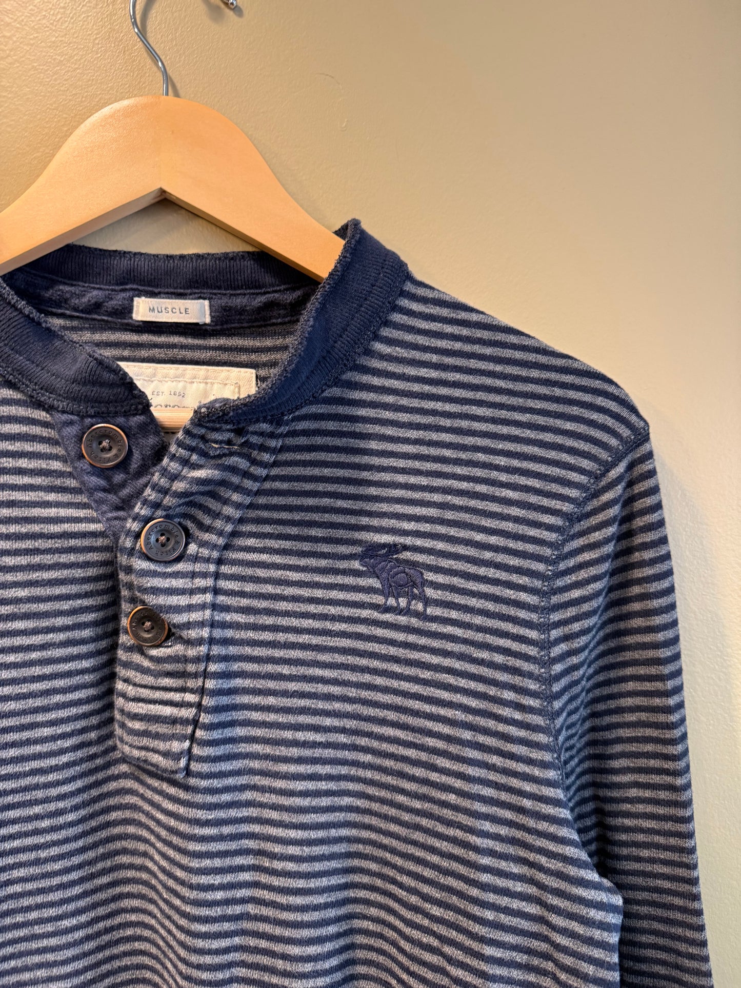 Vintage Abercrombie & Fitch Moose Blue Striped Long Sleeve T-Shirt- L