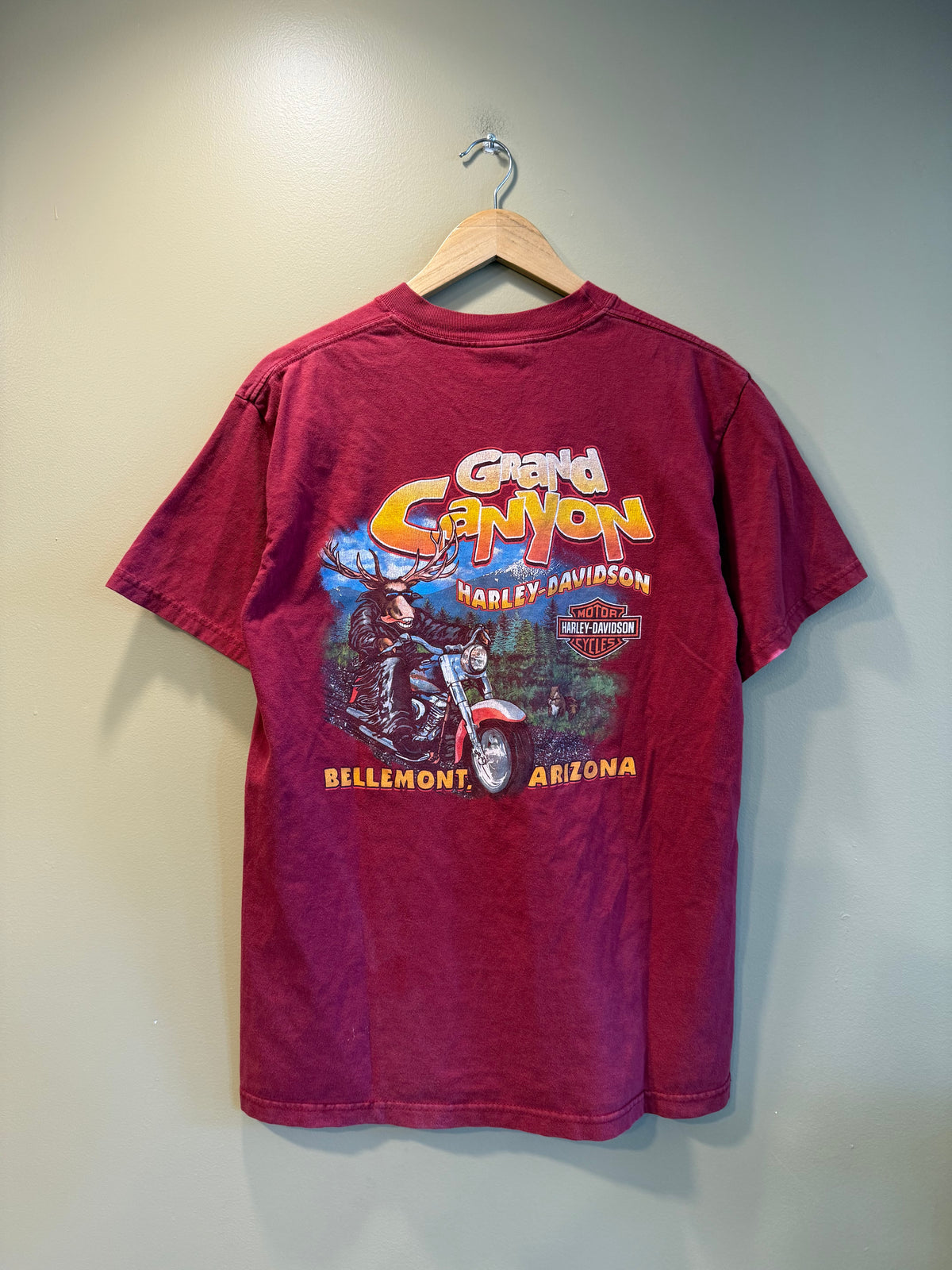 Vintage Harley Davidson Grand Canyon Red Sun Faded T-Shirt- M