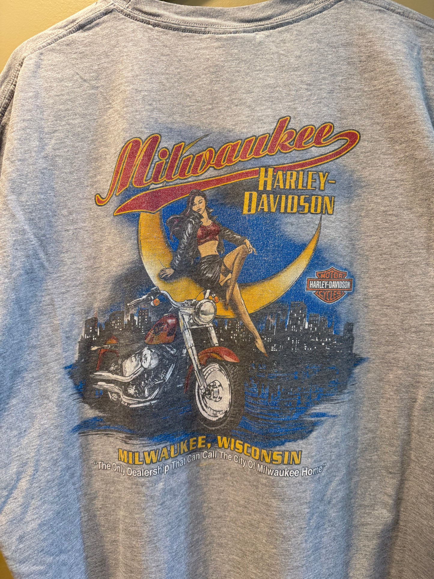 Vintage Y2K Harley Davidson Spider Web Gray T-Shirt- XL/XXL