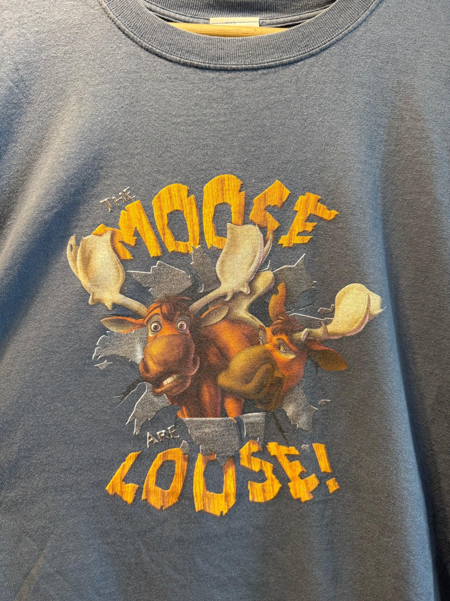 Vintage Disney The Moose Are Loose Brother Bear T-Shirt- XXL