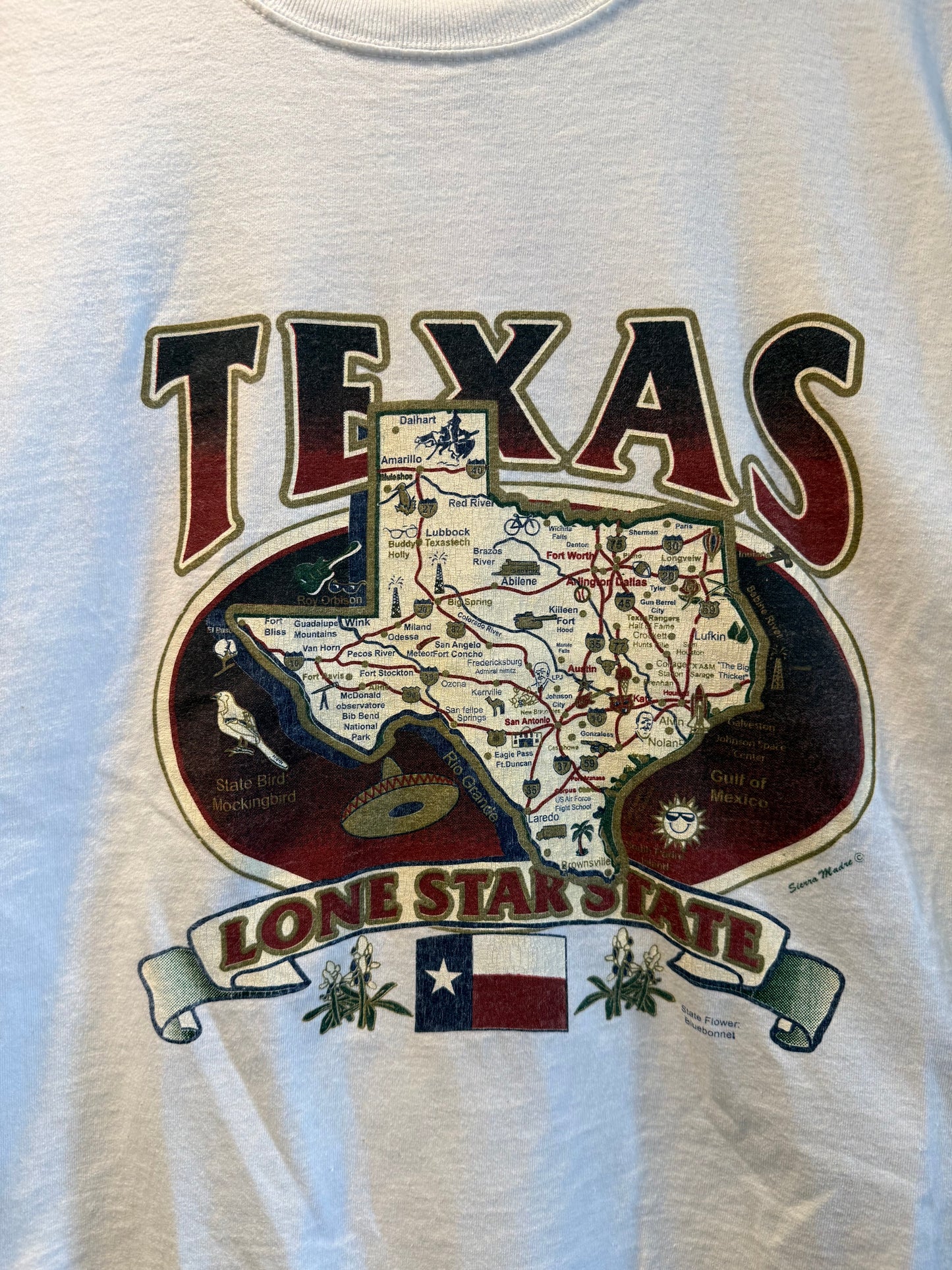 Vintage Texas Lone Star State Crop Top T-Shirt- M