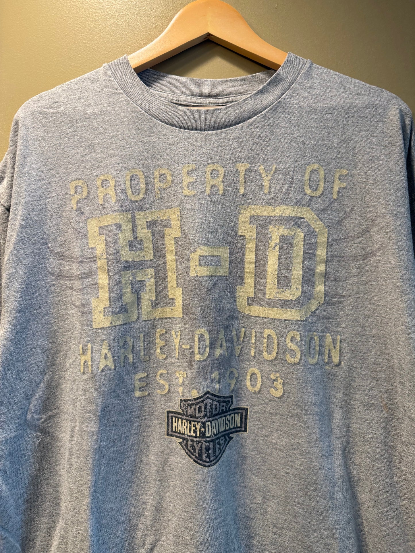 Vintage Harley Davidson Gray T-Shirt- XL