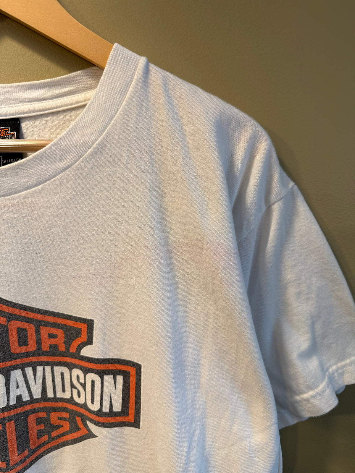 Vintage Harley Davidson Blue Ridge Mountains T-Shirt- L