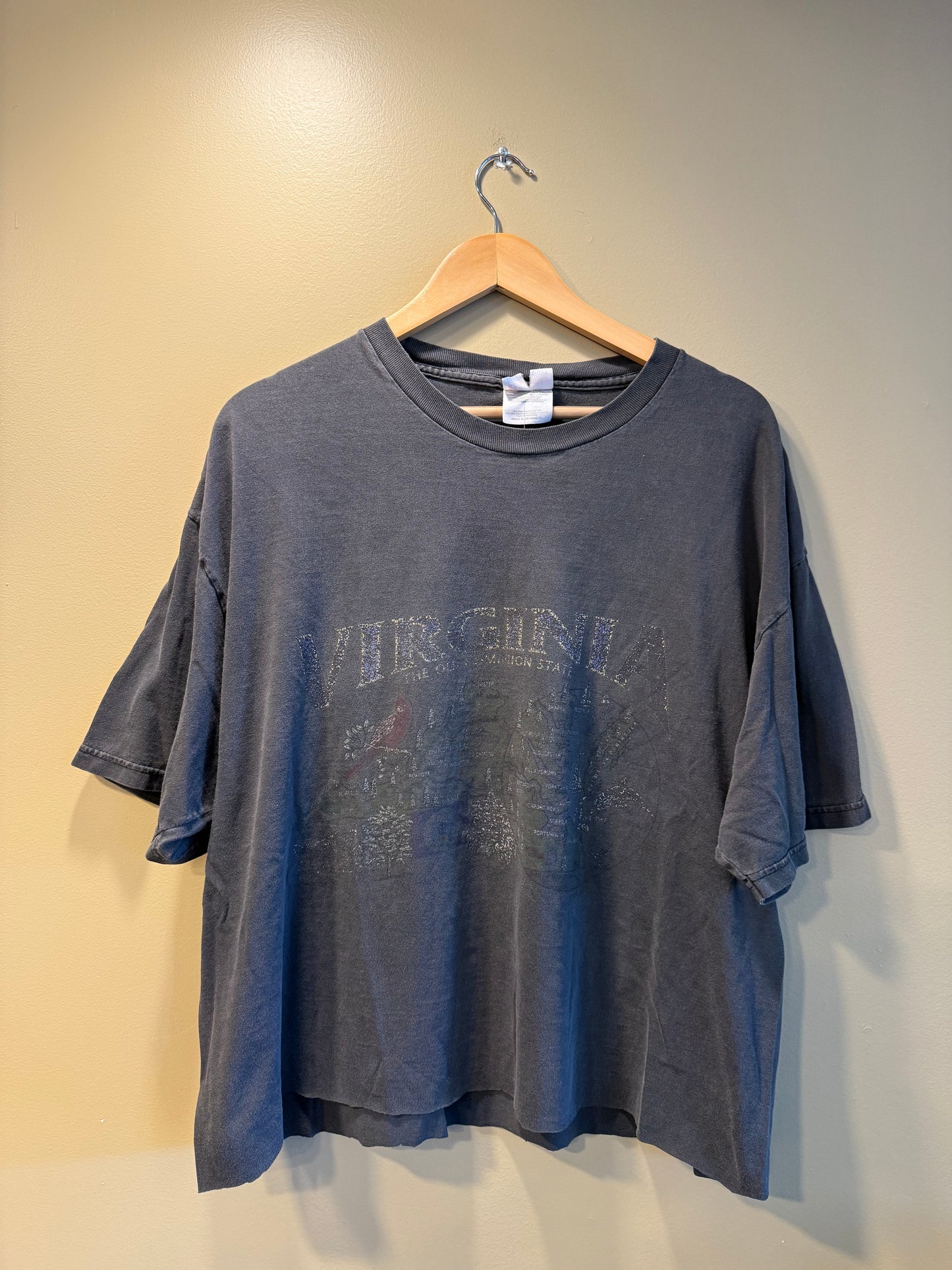 Vintage Virginia State Tourist Faded Black Cropped T-Shirt- XL