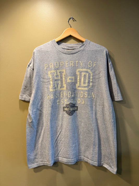 Vintage Harley Davidson Gray T-Shirt- XL