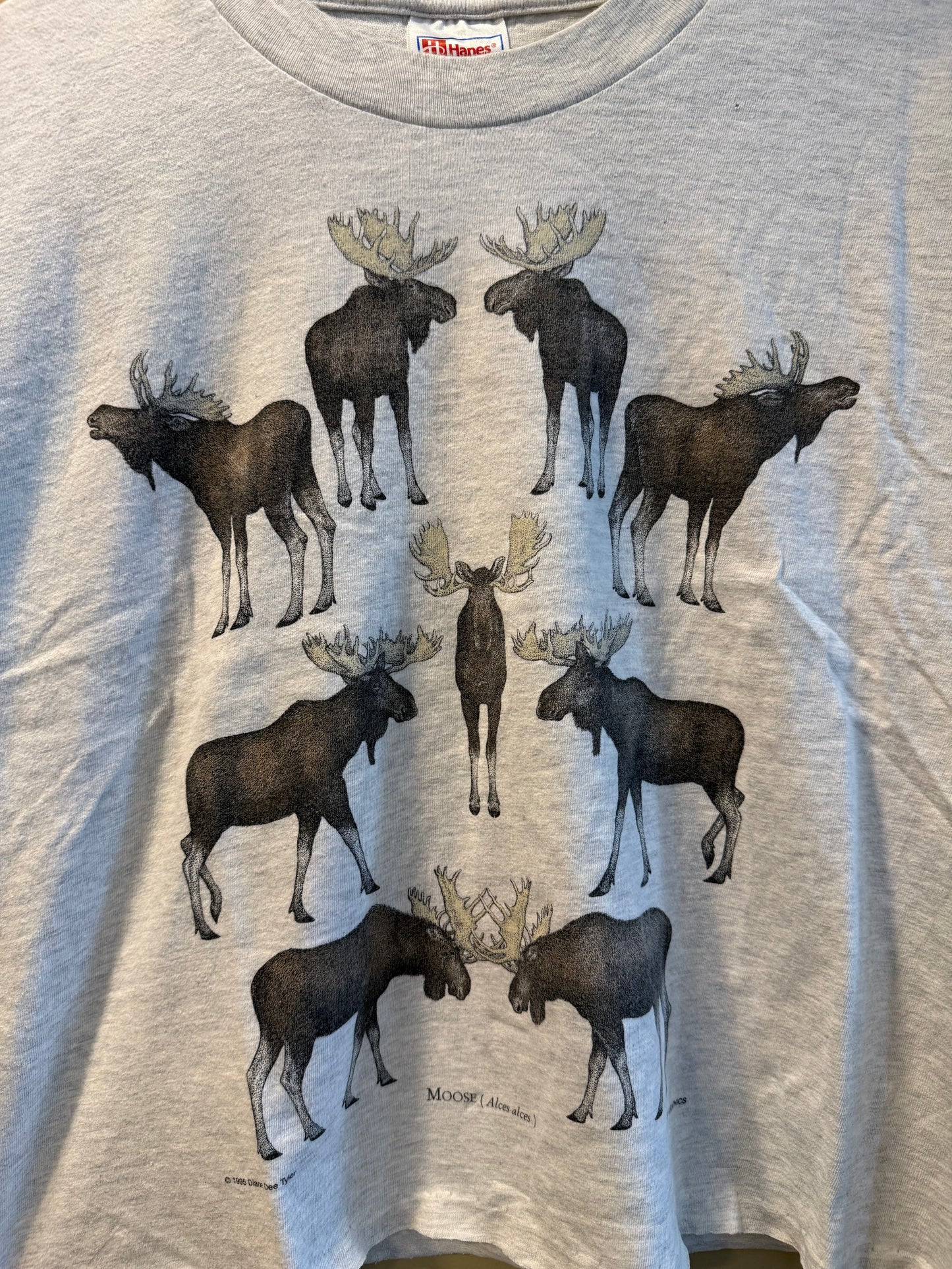 Vintage Moose Crop Top Nature T-Shirt- L