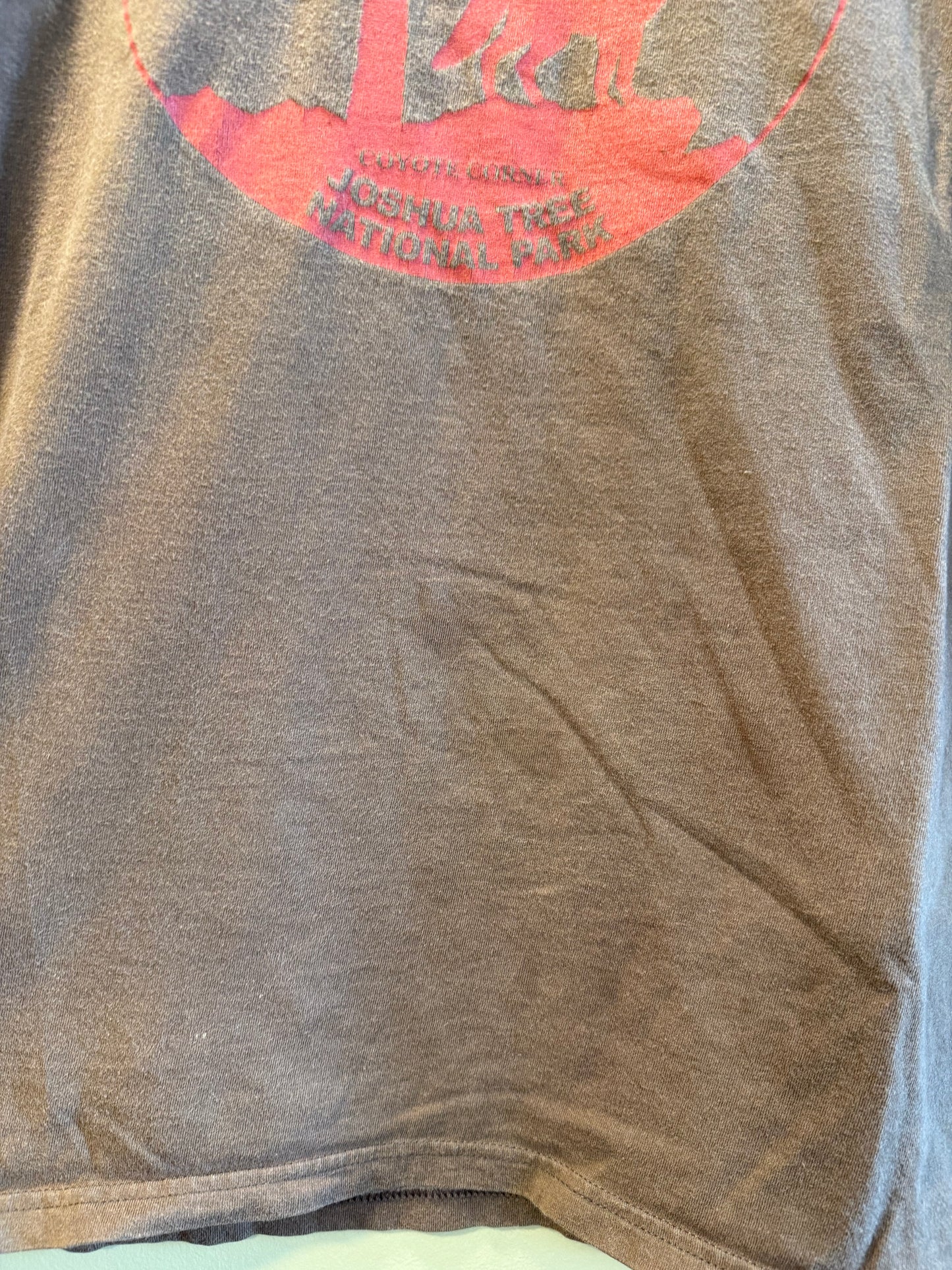 Vintage Joshua Tree California Brown Ringer T-Shirt- XL