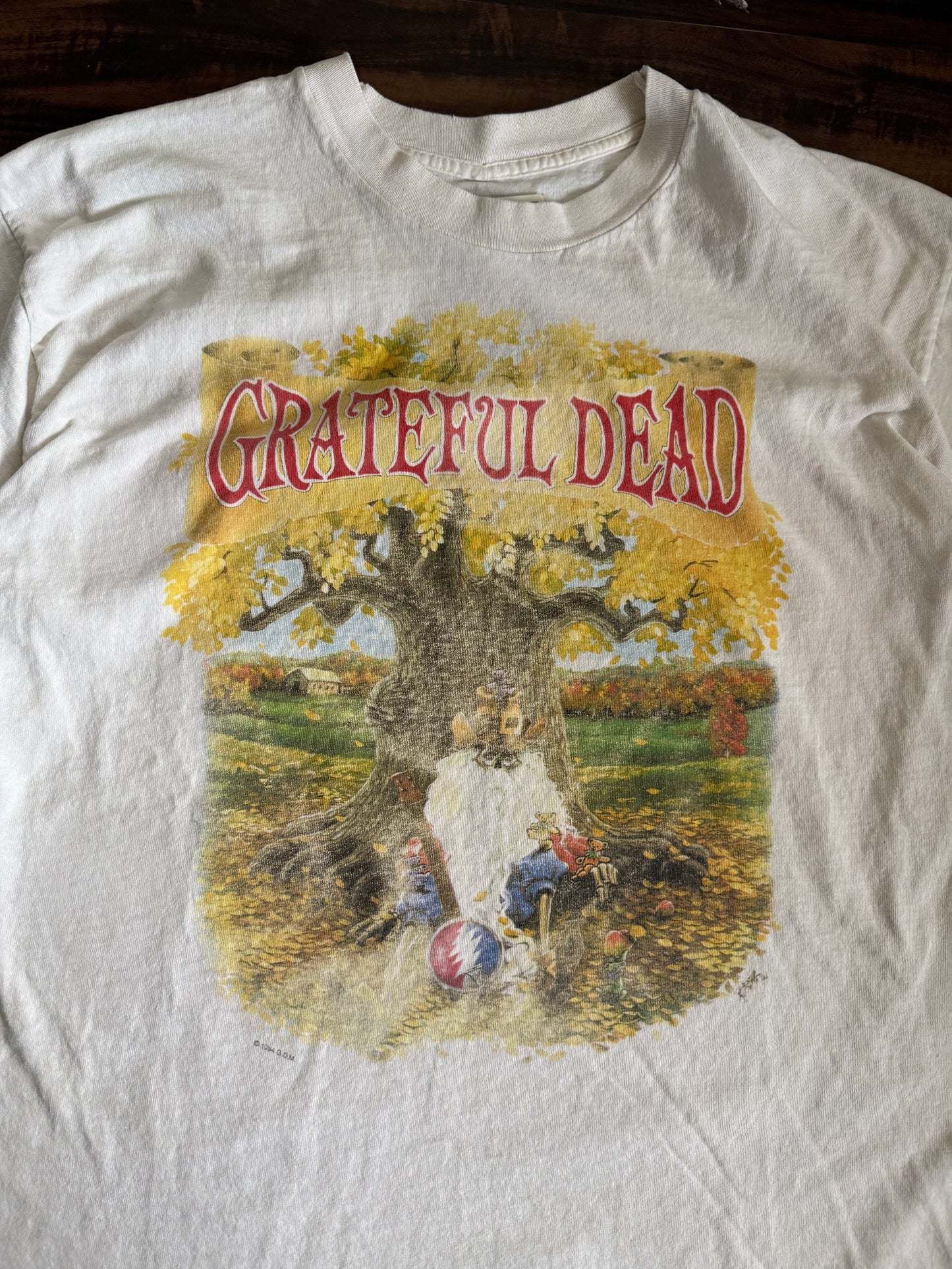 Vintage 1994 Grateful Dead Madison Square Garden Exclusive Rare T-Shirt- XL