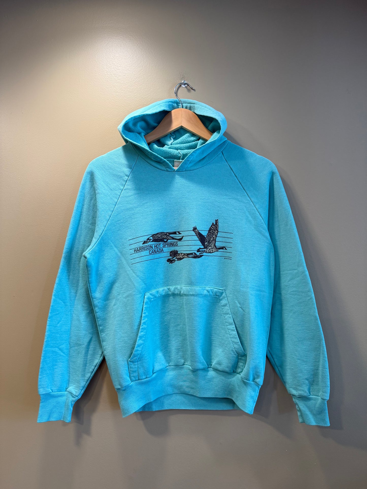 Vintage Harrison Hot Springs Canada Geese Hoodie Sweatshirt- S/M