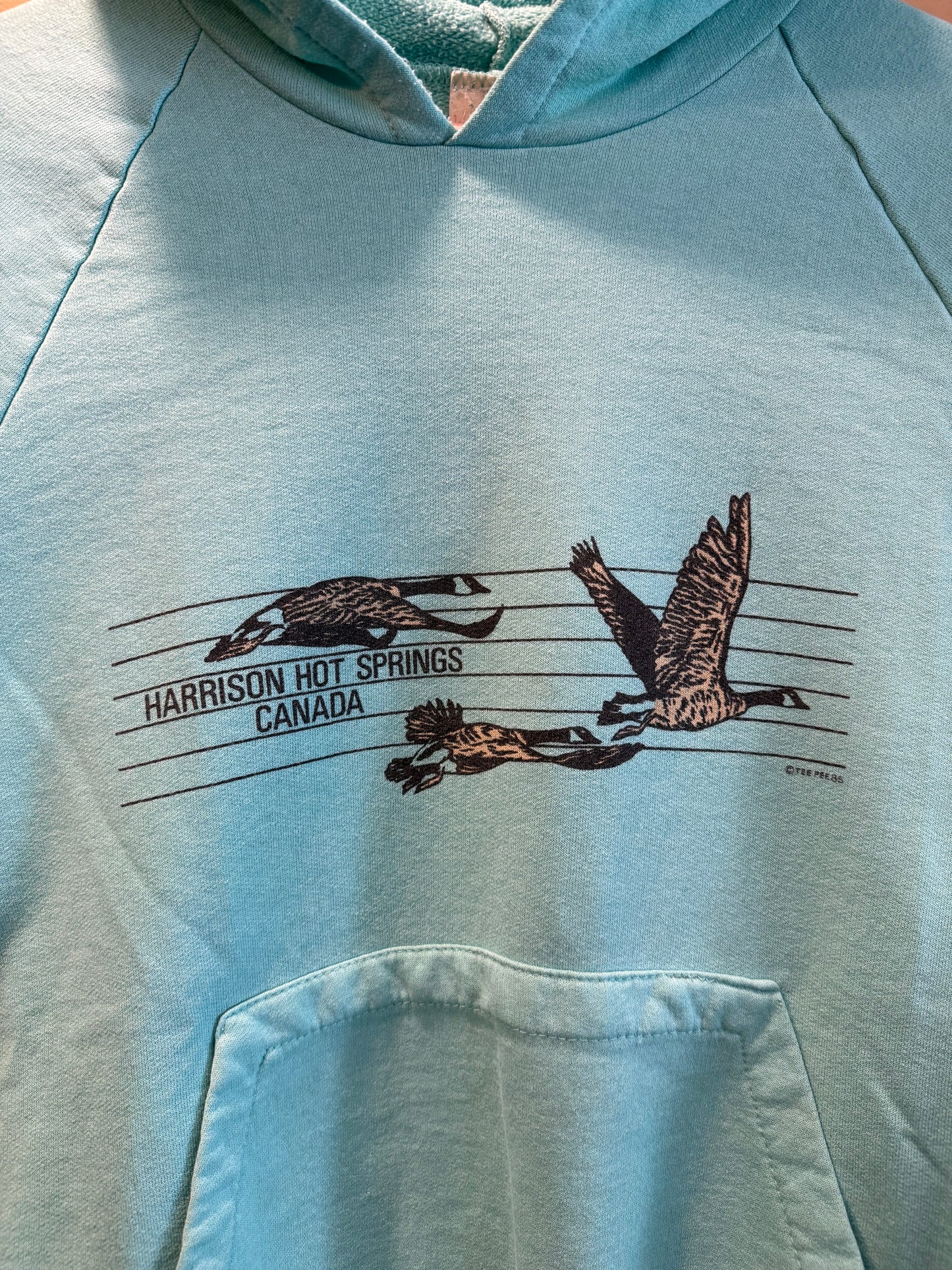 Vintage Harrison Hot Springs Canada Geese Hoodie Sweatshirt- S/M