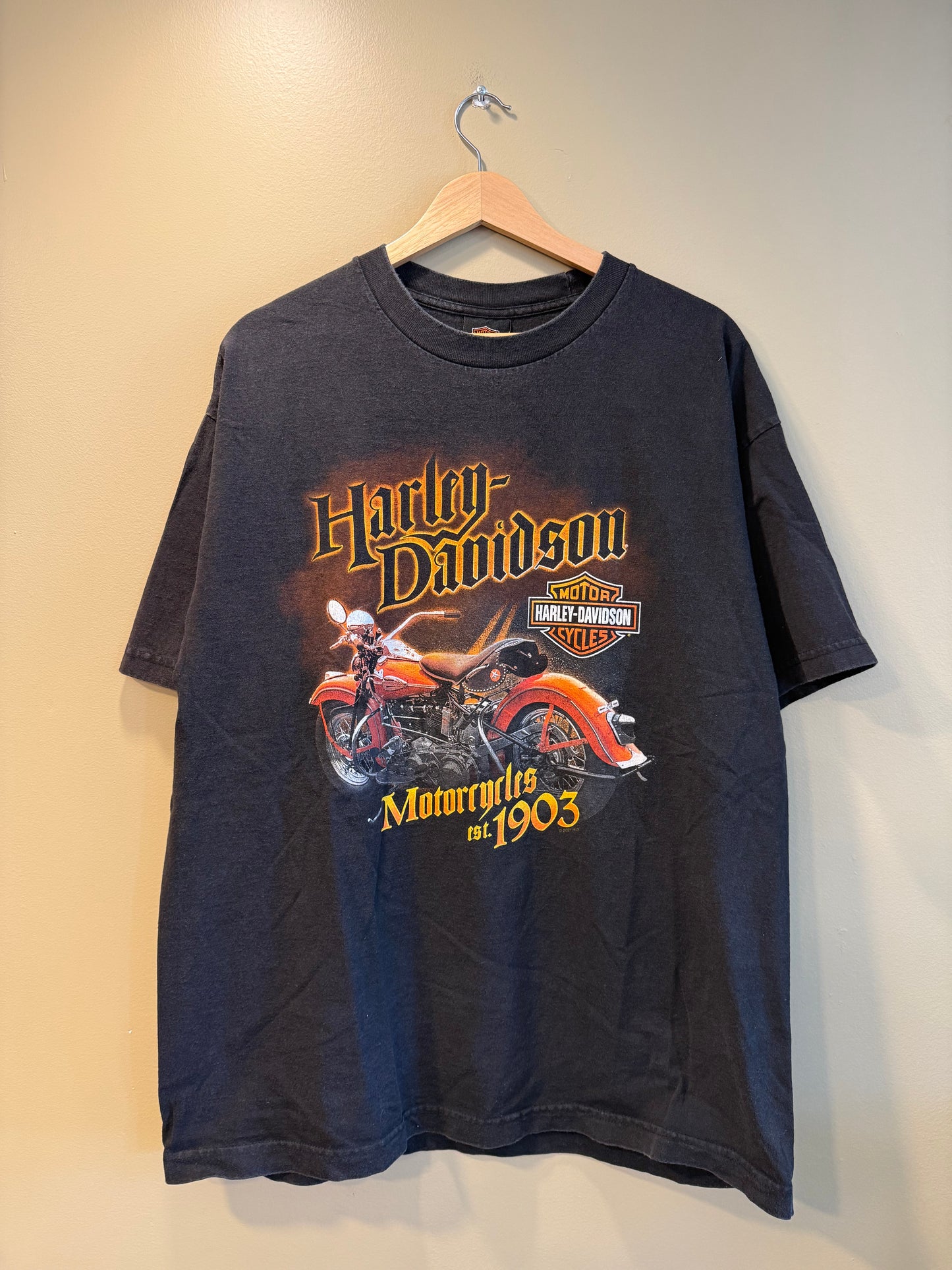 Vintage Harley Davidson Thunder Mountain T-Shirt- L
