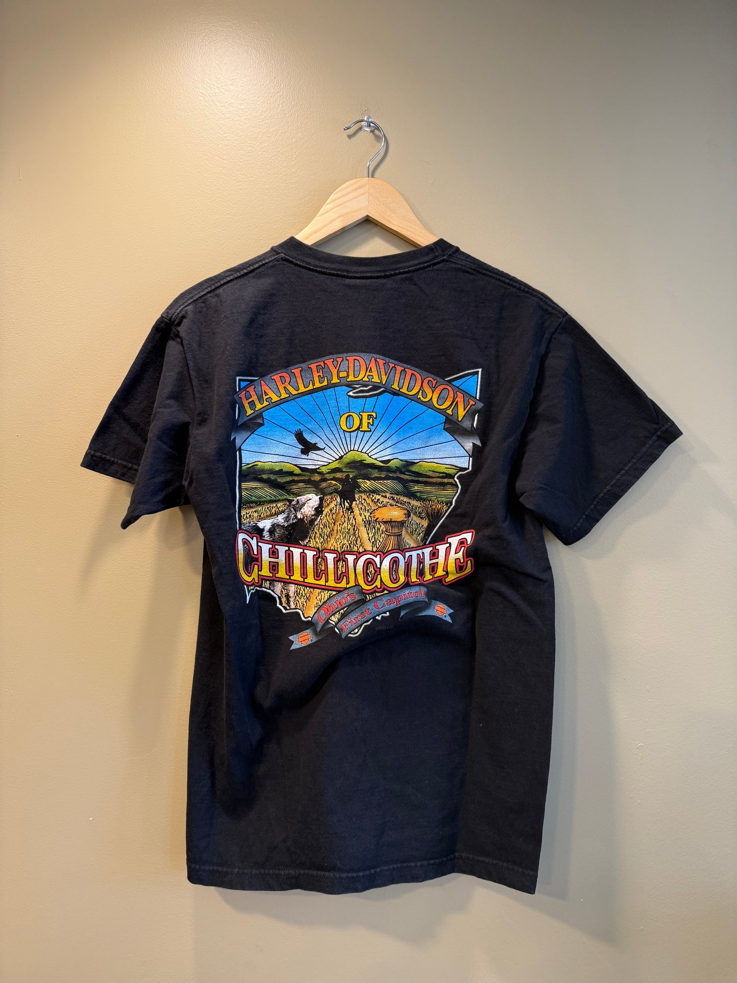 Vintage Harley Davidson Rust Logo Chillicothe Black T-Shirt- M