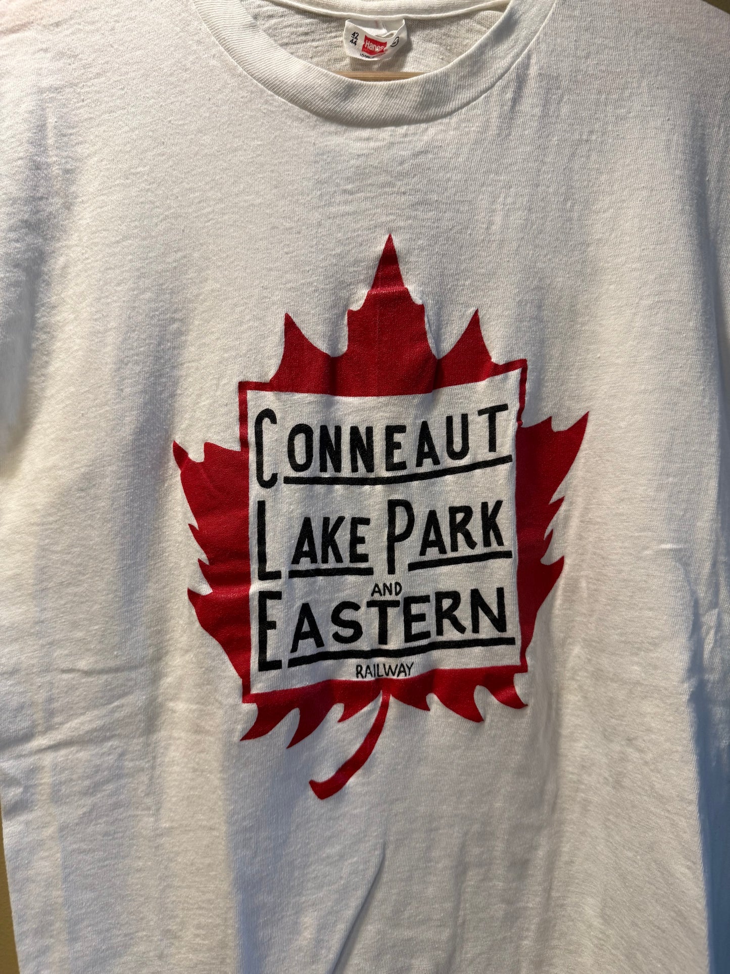 Vintage 70s Conneaut Lake Park Eastern Railroad T-Shirt- M
