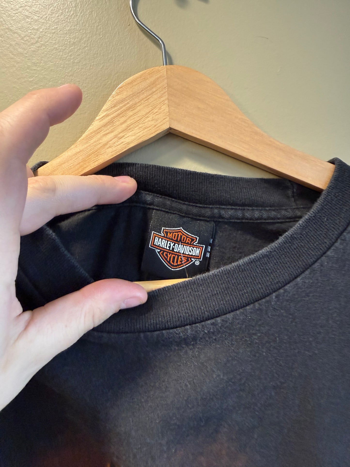 Vintage Harley Davidson Thunder Mountain T-Shirt- L