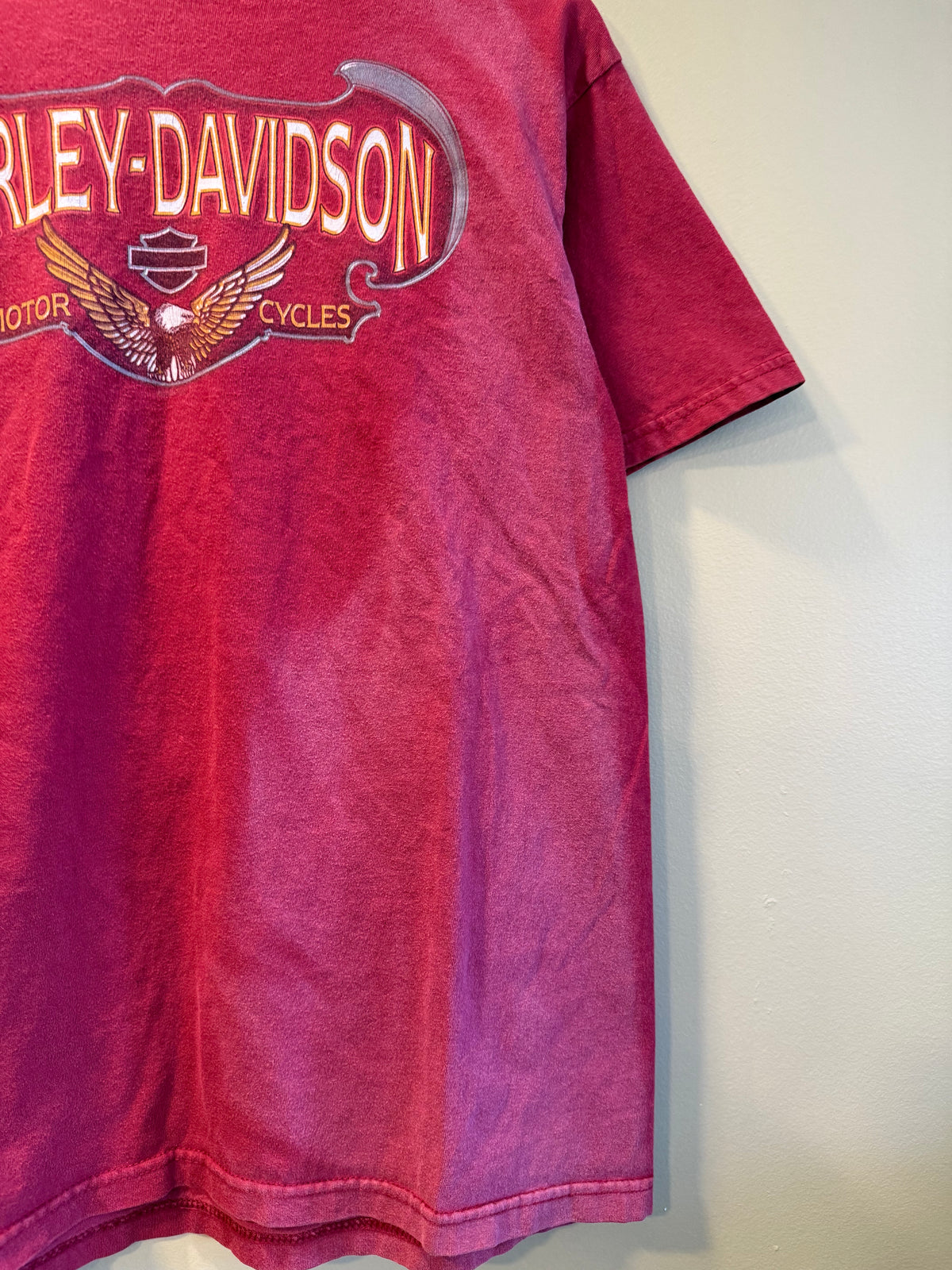 Vintage Harley Davidson Grand Canyon Red Sun Faded T-Shirt- M