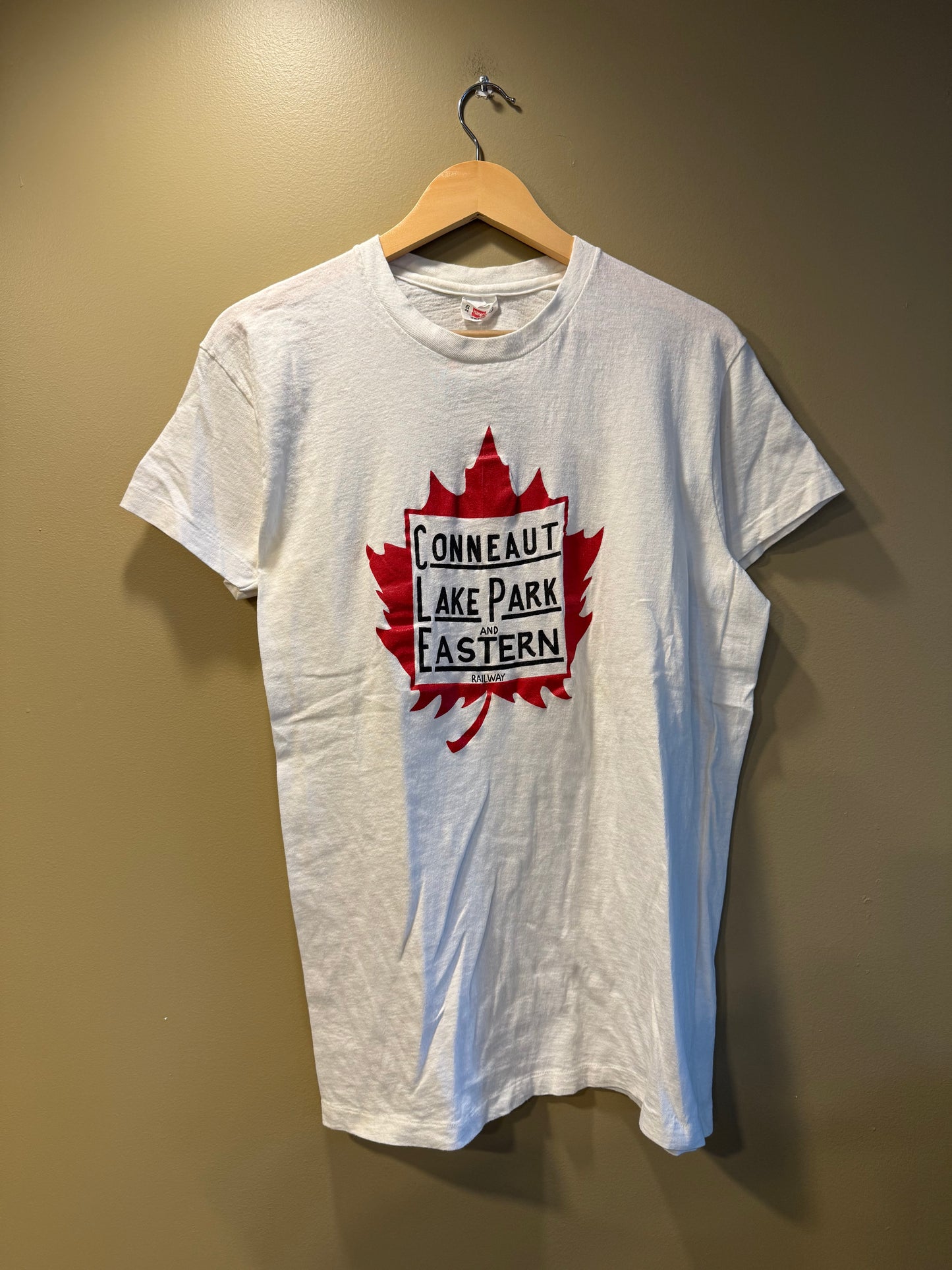 Vintage 70s Conneaut Lake Park Eastern Railroad T-Shirt- M