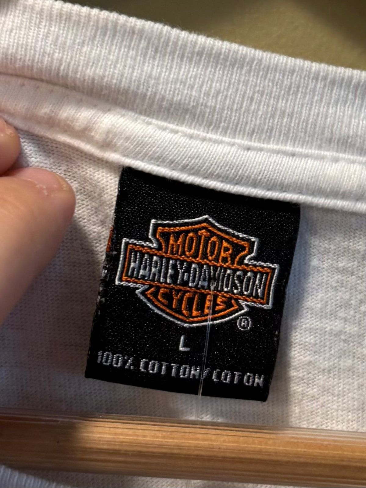 Vintage Harley Davidson Blue Ridge Mountains T-Shirt- L