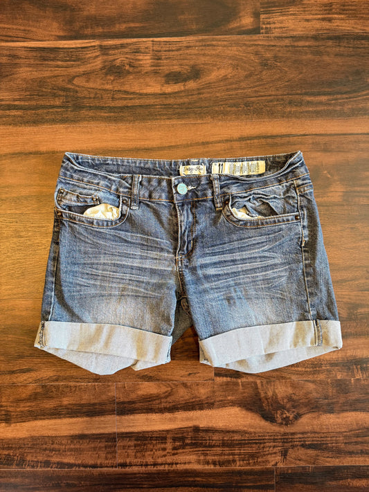 Vintage Indigo Rein Low Rise Embroidered Denim Jean Shorts- 33