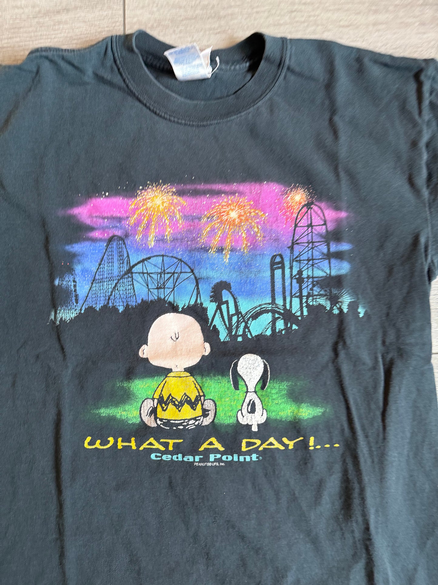 Vintage Peanuts Snoopy Charlie Brown Cedar Point T-Shirt- M