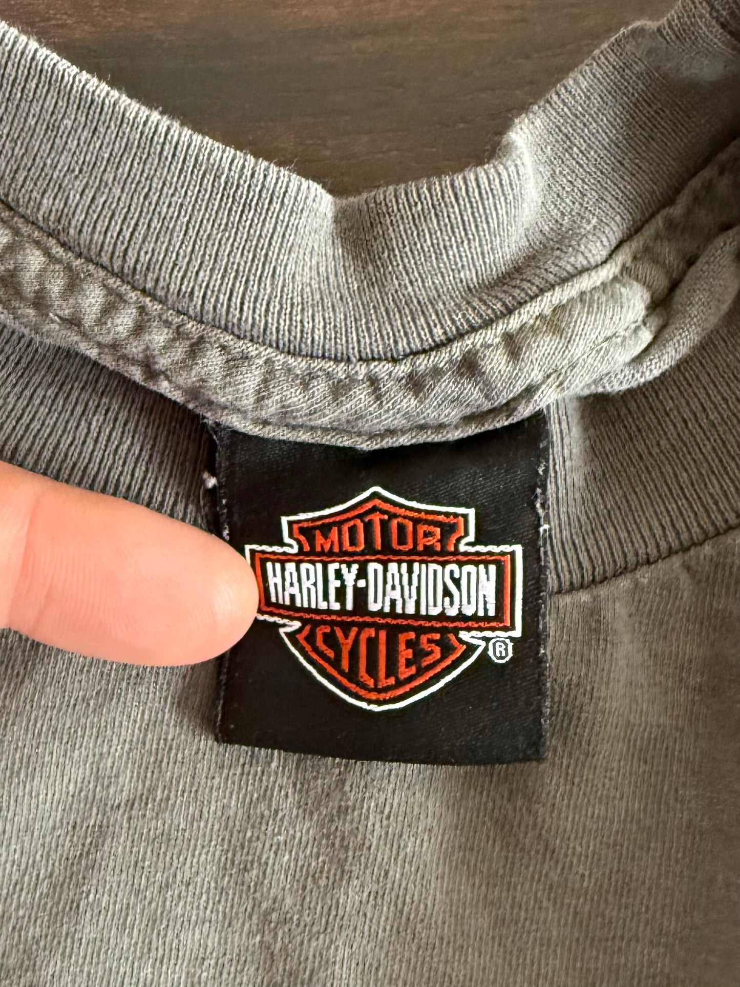 Vintage Harley Davidson Motorcycles Taz Looney Tunes T-Shirt- L