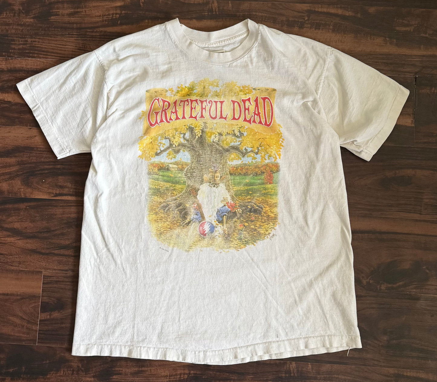 Vintage 1994 Grateful Dead Madison Square Garden Exclusive Rare T-Shirt- XL