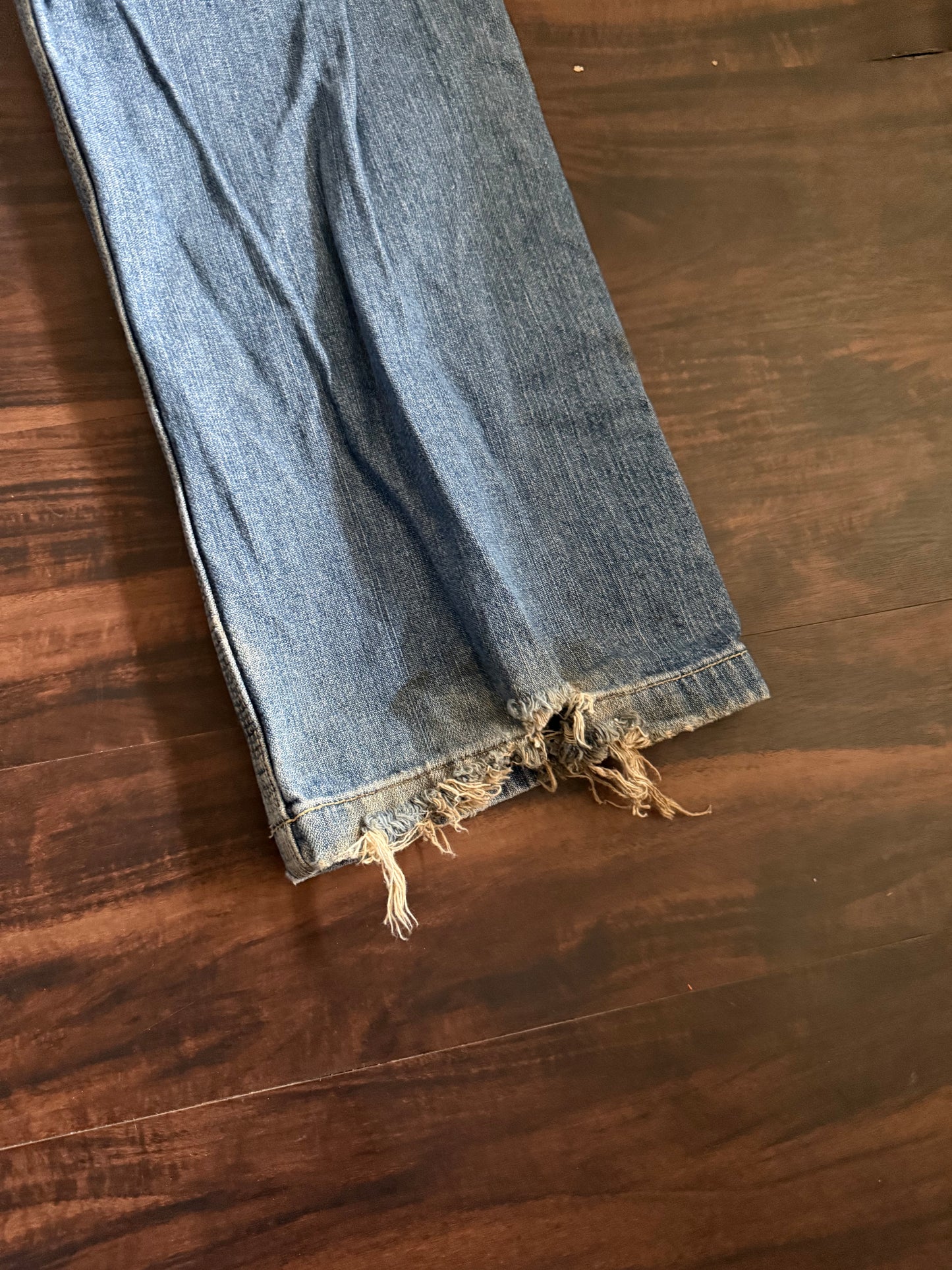 Vintage American Eagle Outfitters Distressed Carpenter Denim Jeans- 29x32