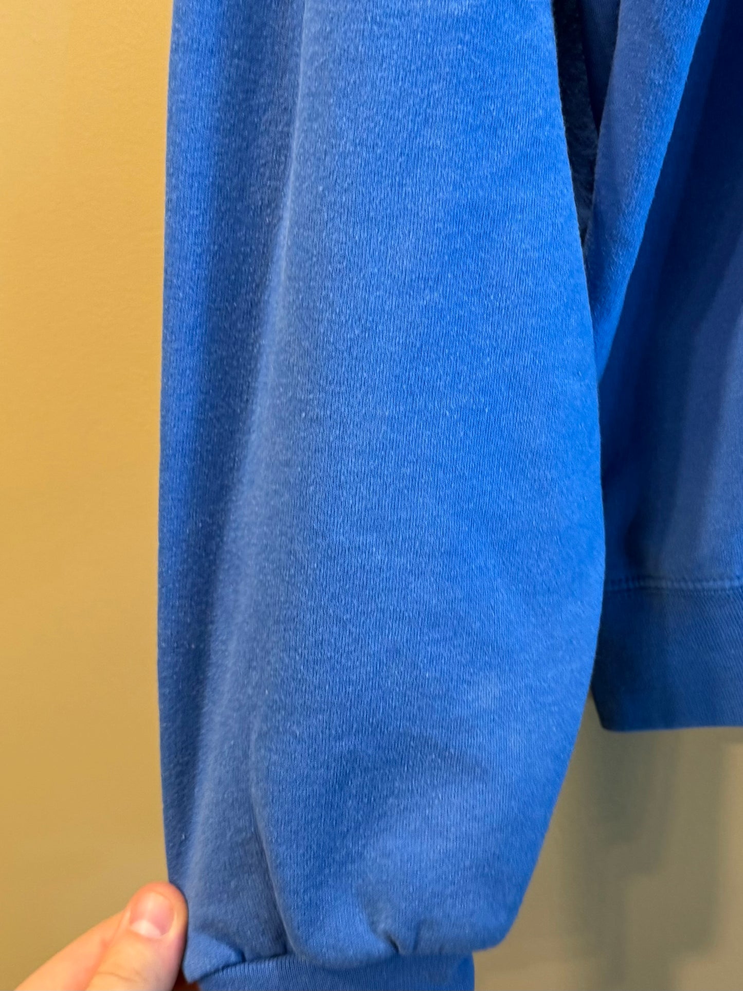 Vintage Baldwin Wallace University Blue Hoodie Sweatshirt- XXL