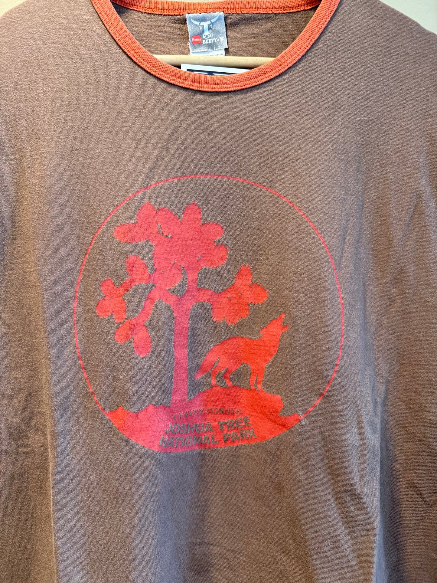Vintage Joshua Tree California Brown Ringer T-Shirt- XL