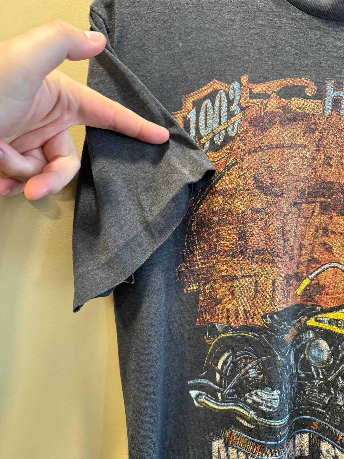 Vintage Harley Davidson American Steel Life Cycles Venice Beach California T-Shirt- M