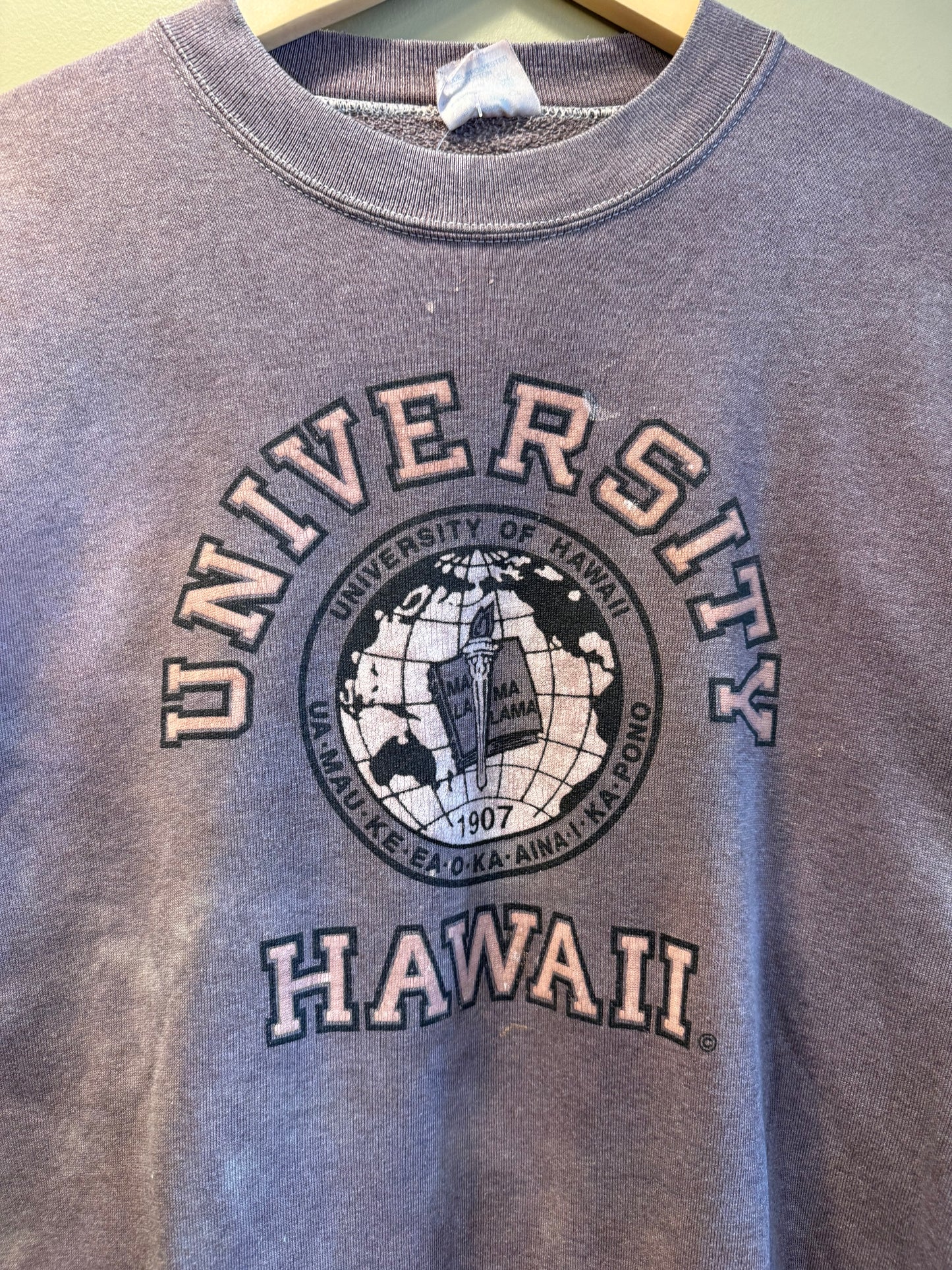 Vintage University of Hawaii Distressed Crewneck Sweatshirt- L