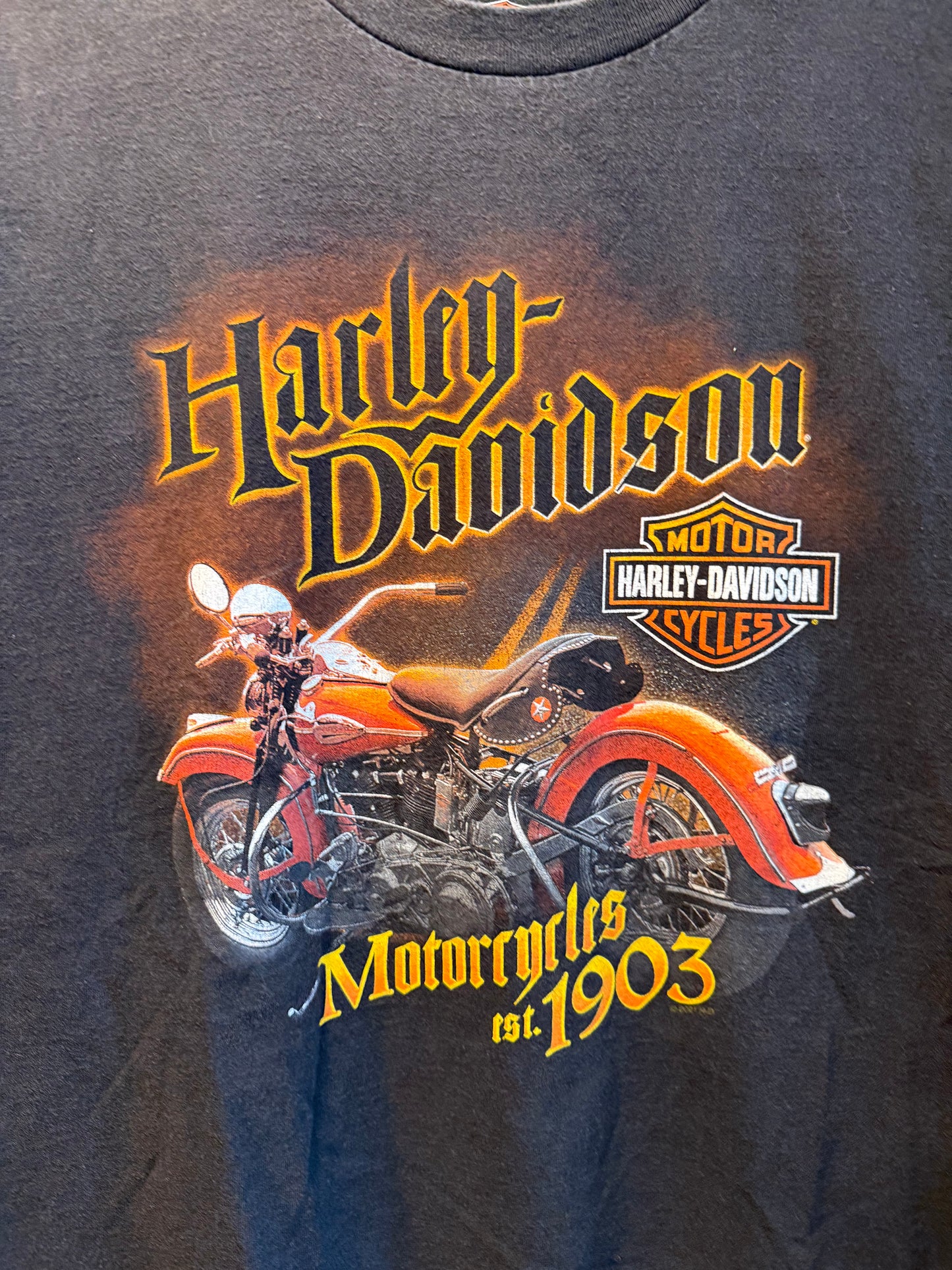 Vintage Harley Davidson Thunder Mountain T-Shirt- L