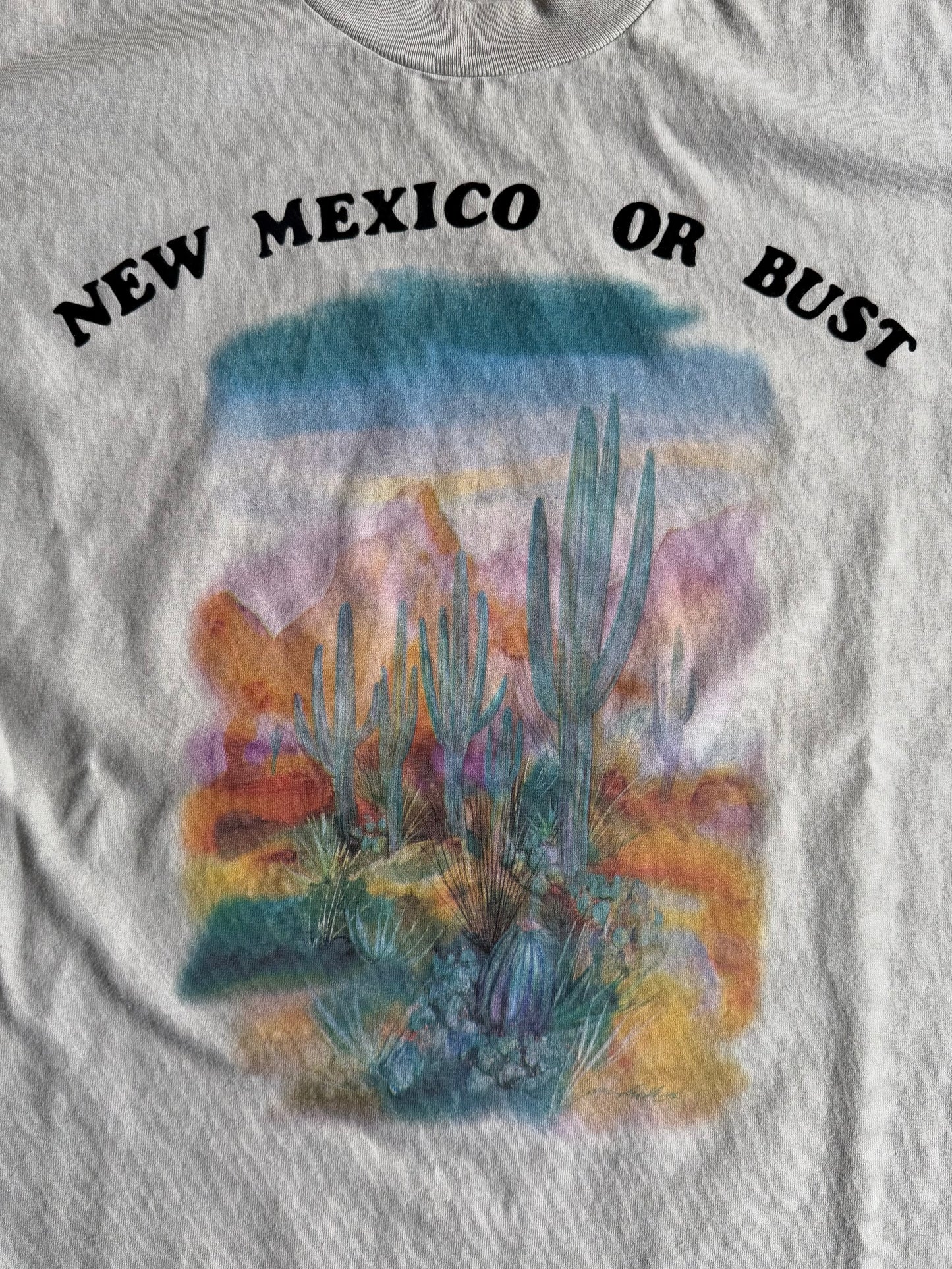 Vintage New Mexico Or Bust T-Shirt- L