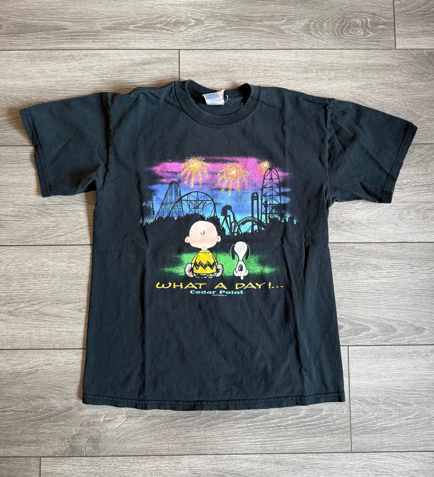 Vintage Peanuts Snoopy Charlie Brown Cedar Point T-Shirt- M